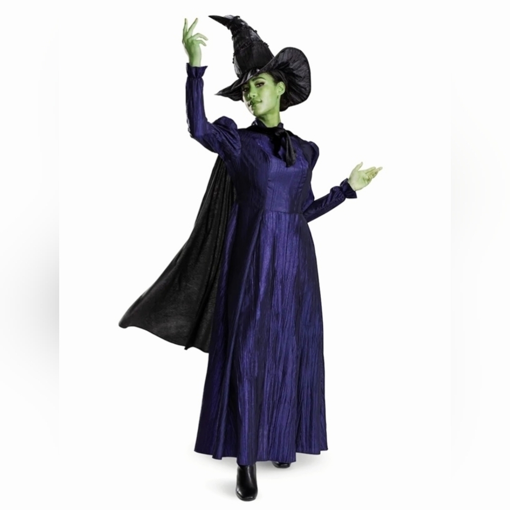 New Wicked for good Elphaba Deluxe Adult Costume Costume, cosplay dress, L 12/14